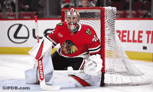 Hockey Goalie In Red Jersey Number 38 GIF