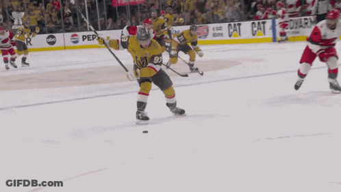 Hockey Goalie Kneeling On Ice In Front Of Nobull Banner GIF