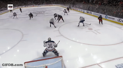 Hockey Goalie Number 36 GIF