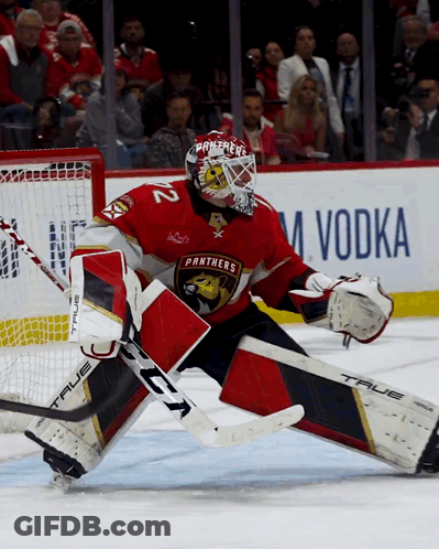 Hockey Goalie With Panthers Shirt GIF