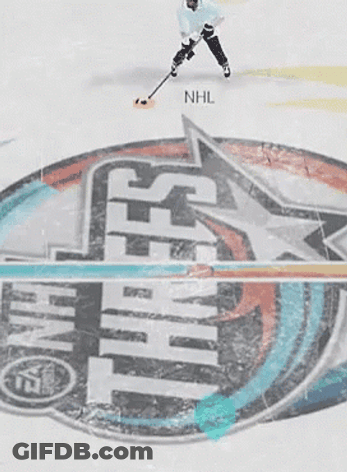 Hockey Goon Says No GIF