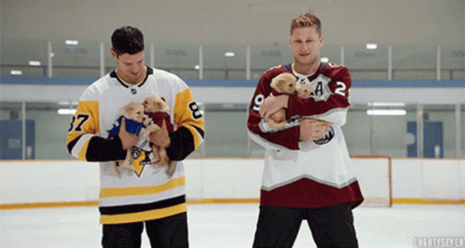 Hockey Nathan McKinnon Carrying Cute Little Dogs GIF