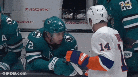 Hockey Player 14 Talking To Another GIF