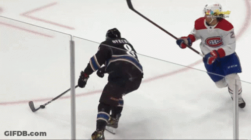 Hockey Player #9 Chased GIF