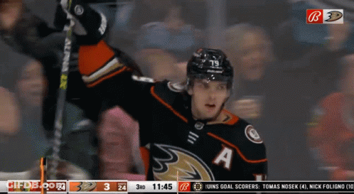 Hockey Player Celebrates Goal GIF
