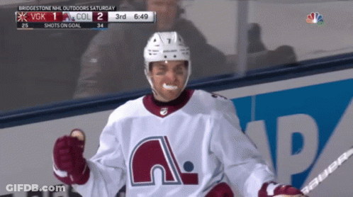 Hockey Player Celebrates Goal GIF
