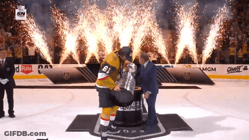 Hockey Player Celebrates Goal GIF