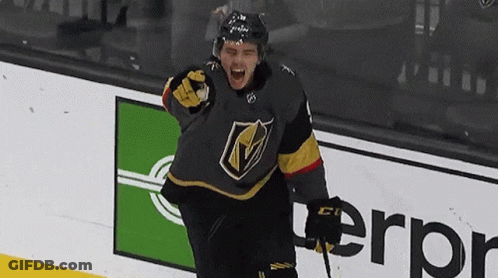 Hockey Player Celebrates Goal GIF