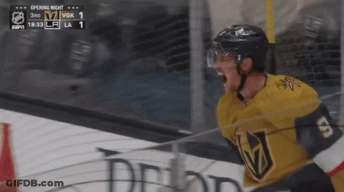 Hockey Player Celebrates Goal GIF