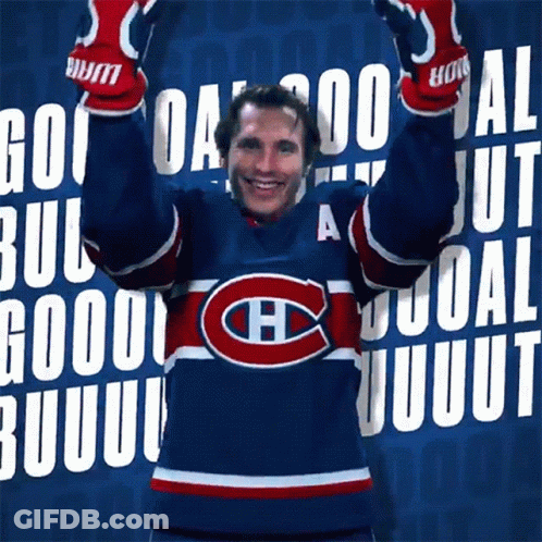 Hockey Player Celebrating Goal GIF