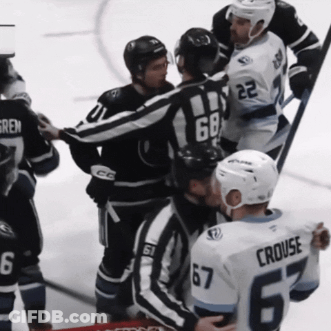Hockey Player Celebrating Goal GIF