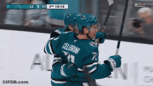 Hockey Player Celebroni Hugging Another Player GIF