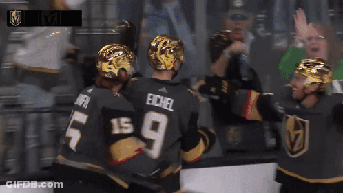 Hockey Player Eichel GIF