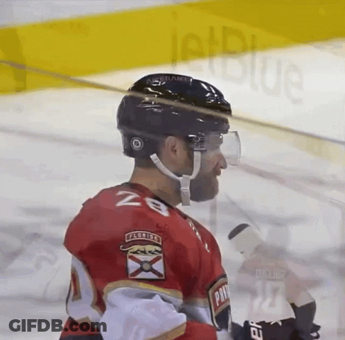 Hockey Player Florida Panthers Jersey GIF