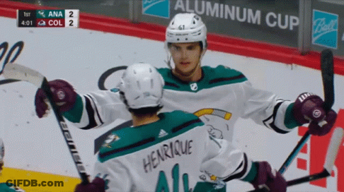 Hockey Player Henrique GIF