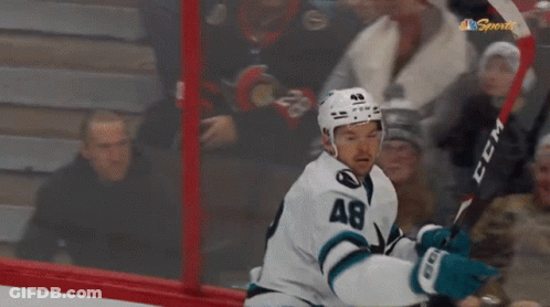 Hockey Player Holding CCM Stick With Crowd GIF