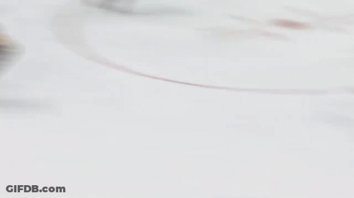 Hockey Player Holding Stick In Air GIF