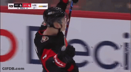 Hockey Player Holding Stick Up GIF
