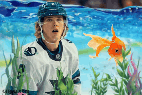 Hockey Player In Bauer Helmet Looking At Goldfish GIF