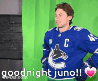 Hockey Player In Blue Jersey With C GIF