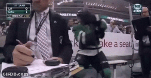 Hockey Player In Green Jersey Number 29 GIF