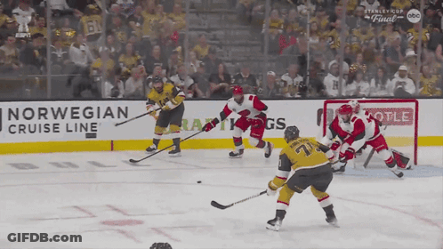 Hockey Player In Jersey With Letter V GIF