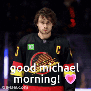 Hockey Player In Number 3 Jersey GIF