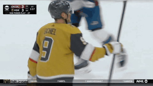 Hockey Player In Number 9 Jersey GIF