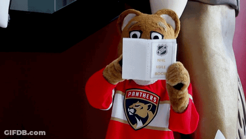 Hockey Player In Panthers Jersey Celebrates Goal GIF