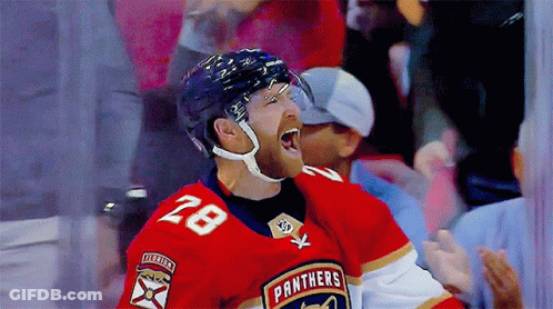 Hockey Player In Panthers Jersey Celebrates GIF