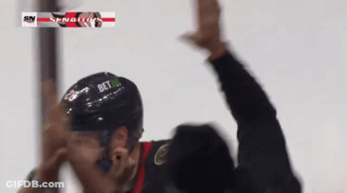 Hockey Player In Panthers Jersey Celebrates GIF
