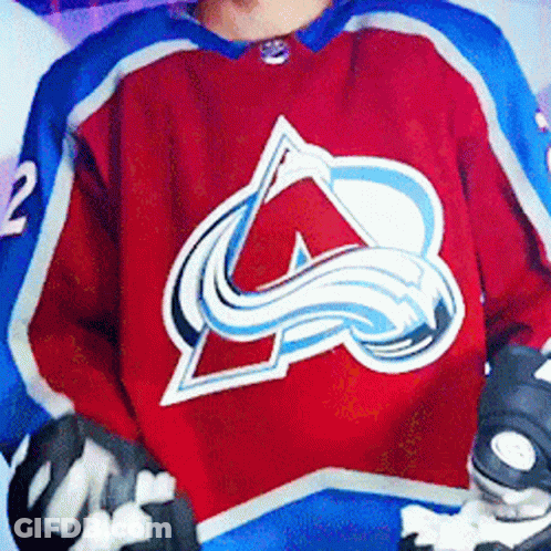 Hockey Player In Red And Blue Jersey GIF