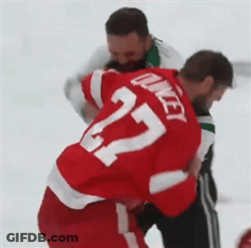 Hockey Player In Red Jersey Fighting GIF