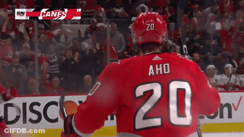 Hockey Player In Red Jersey Number 20 GIF