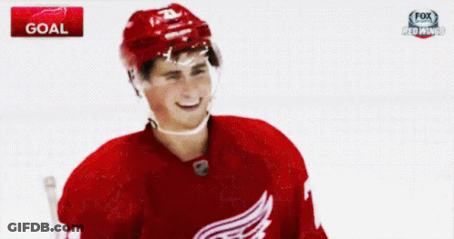 Hockey Player In Red Jersey Number 21 GIF