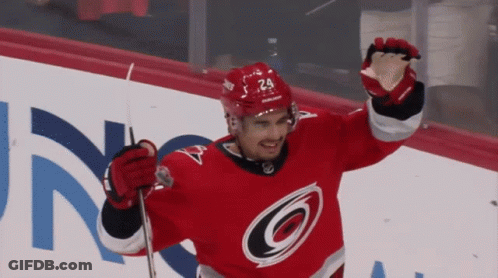 Hockey Player In Red Jersey Number 24 GIF
