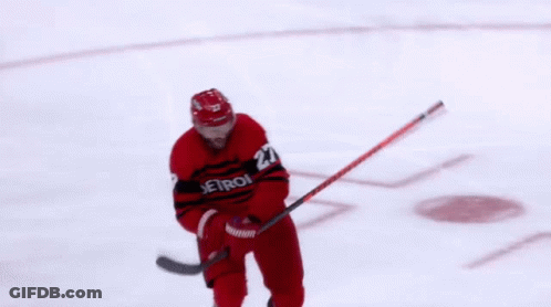 Hockey Player In Red Jersey Number 27 GIF