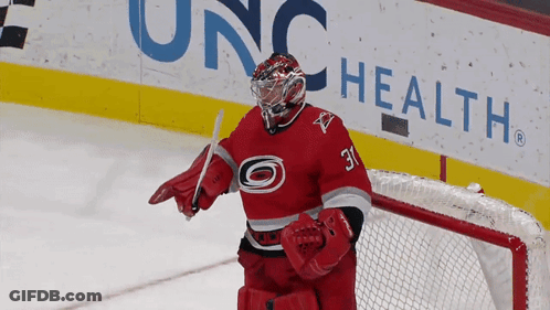 Hockey Player In Red Jersey Number 31 GIF