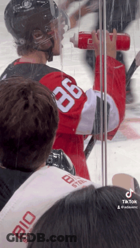 Hockey Player In Red Jersey Number 36 GIF