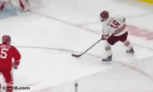 Hockey Player In Red Jersey Number 5 GIF