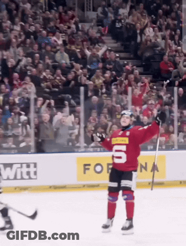 Hockey Player In Red Jersey Number 6 GIF
