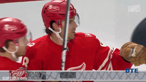 Hockey Player In Red Jersey Number 9 GIF