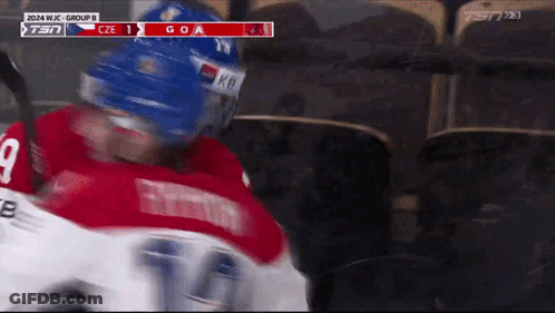 Hockey Player In Red Jersey Number 9 GIF