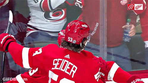Hockey Player In Red Jersey Seidler GIF