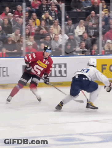 Hockey Player In Red Jersey With S GIF