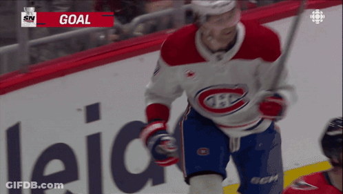 Hockey Player In Red White And Blue Jersey GIF