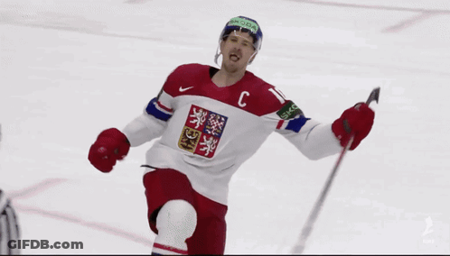Hockey Player In Red White And Blue Jersey With Czech Flag GIF