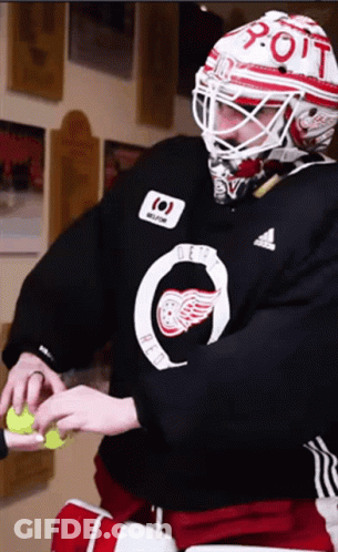 Hockey Player In Red Wings Jersey Holding Tennis Ball GIF
