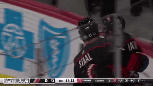 Hockey Player In Staal Jersey GIF