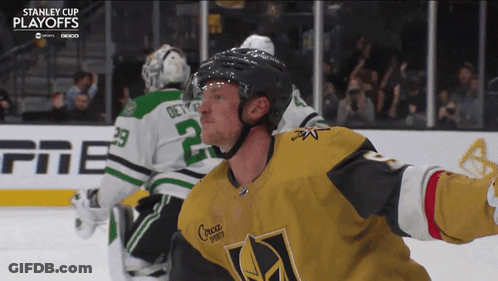 Hockey Player In Stanley Cup Jersey GIF